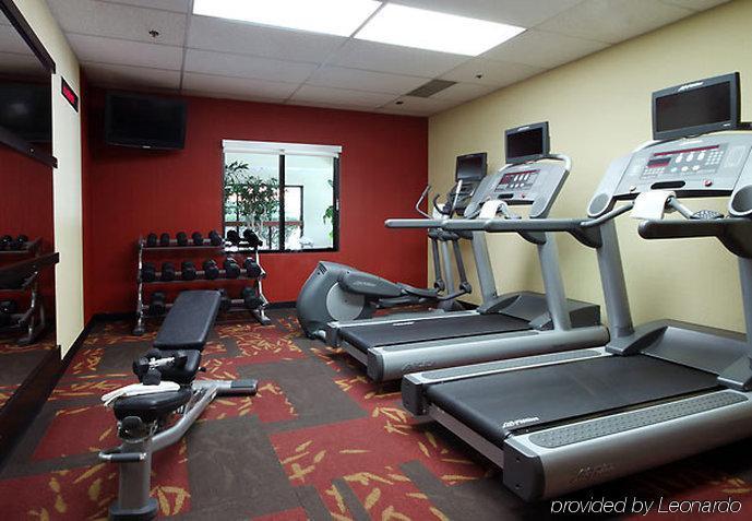 Courtyard Dallas Medical Market Center Ανέσεις φωτογραφία